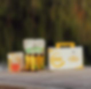 Dx4 Система балансировки тела